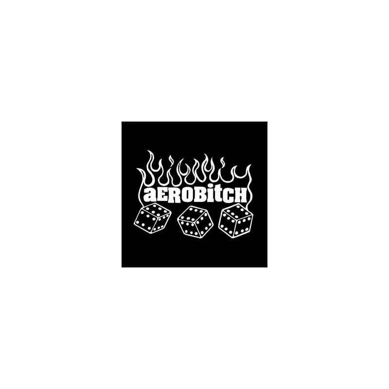 Aerobitch - How Many Times